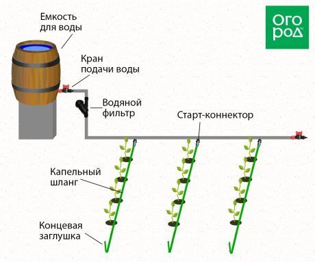 Капельный полив своими руками